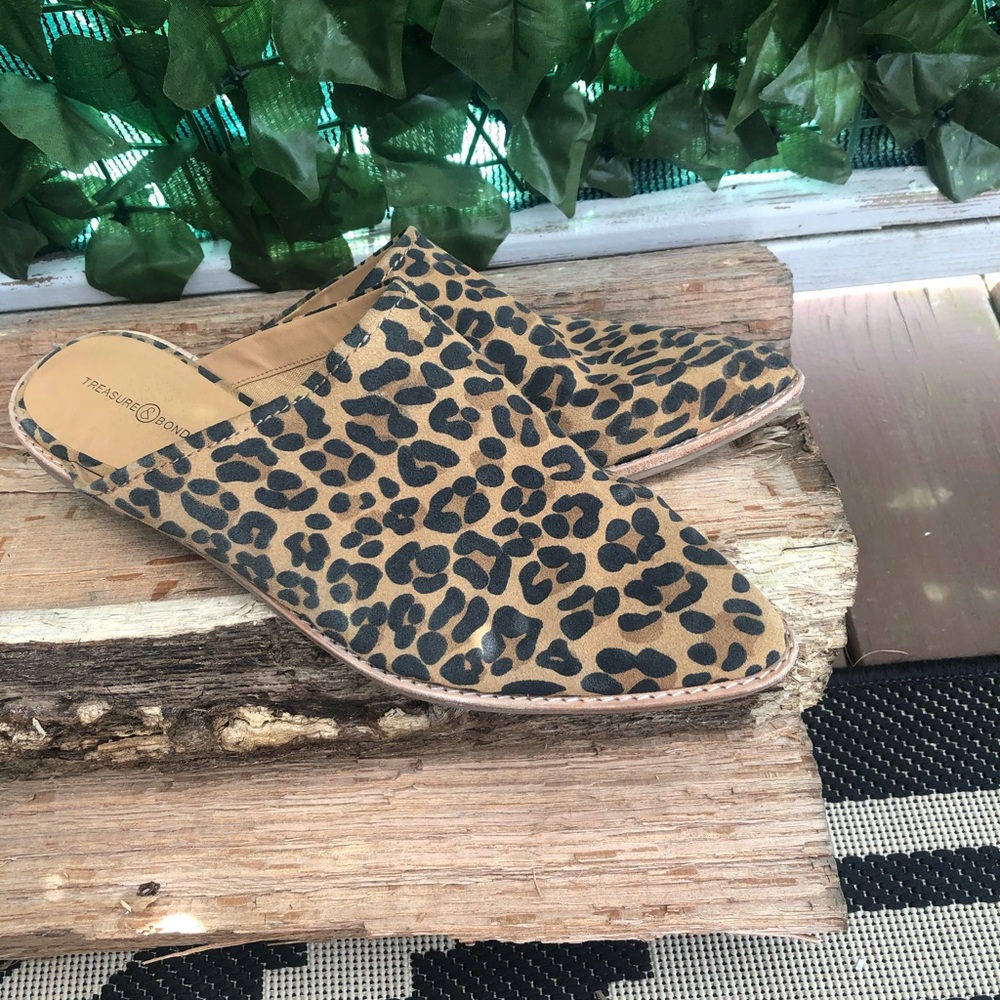 Cheetah Slides